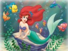 Ariel – Hero’s Journey